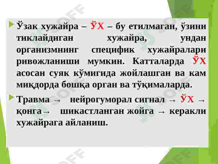 HUJAYRA SHIKASTLANISHI PATOFIZIOLOGIYASI 4