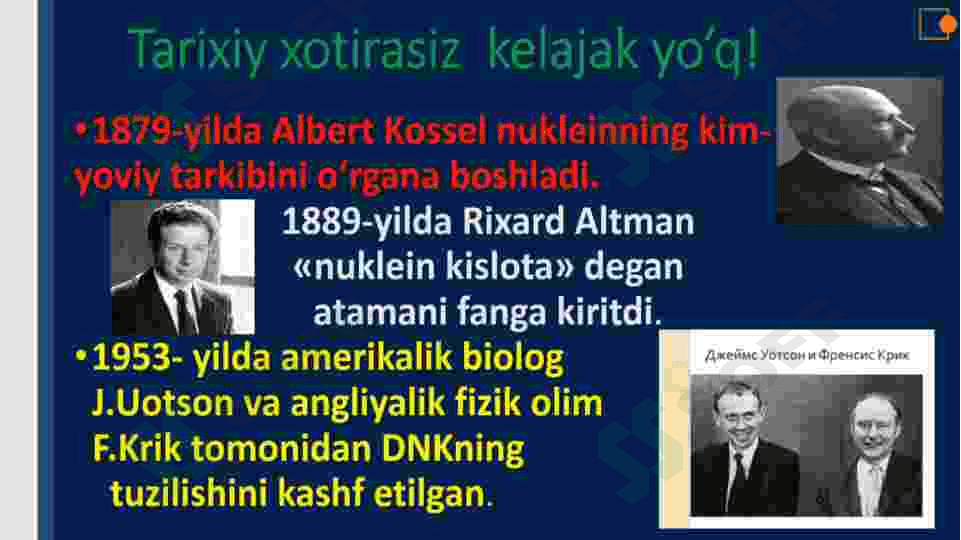 Nuklein kislotalar 4