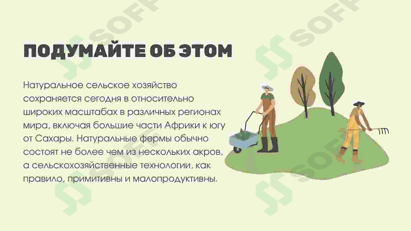 Натуральное Хозяйство 4