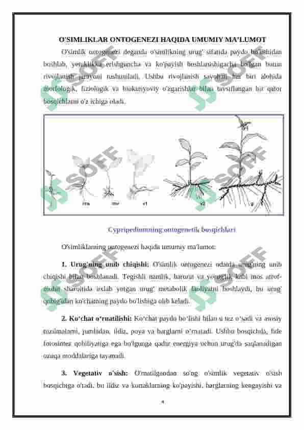 O’simliklar ontogenezining fiziologik tavsifi 4
