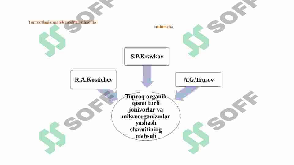Tuproqdagi organik moddalar 5