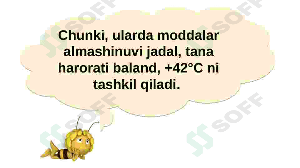 HAYVONLARNING HAZM QILISH ORGANLARI EVOLUTSIYASI 5