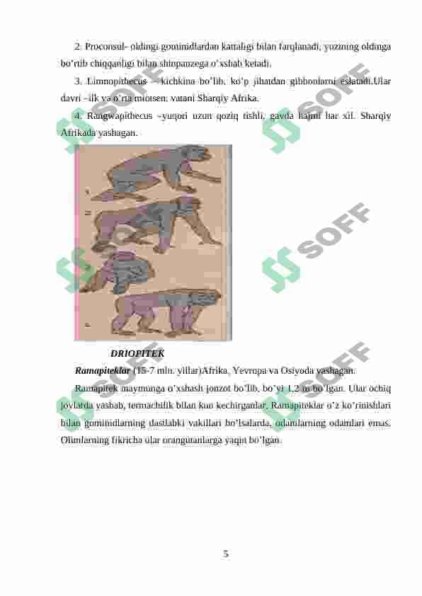 ANTROPOGENEZ 5