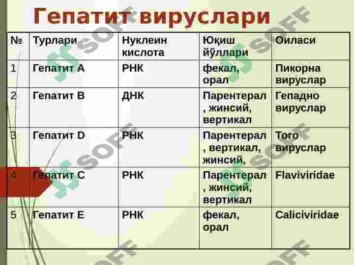 ВИРУСЛИ ГЕПАТИТЛАР 5
