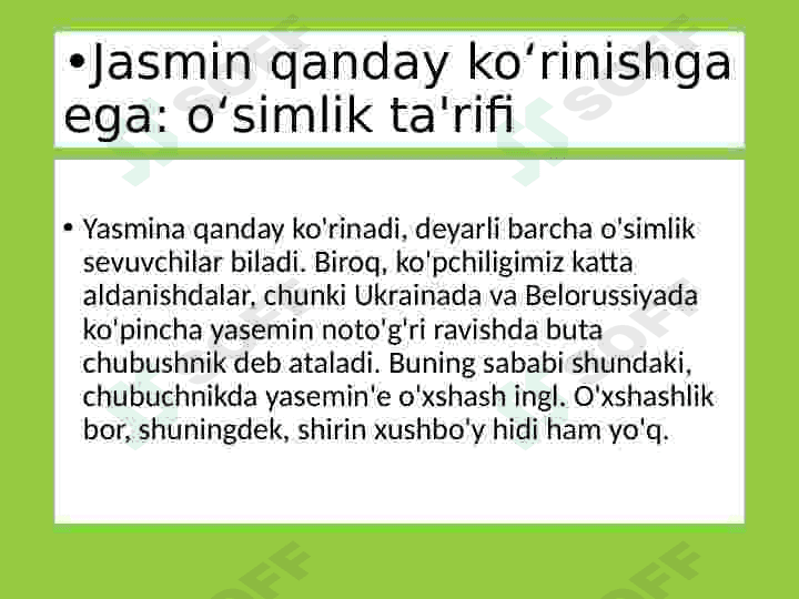 Yasmin, jasmin oʻsimligi haqida maʼlumot 5