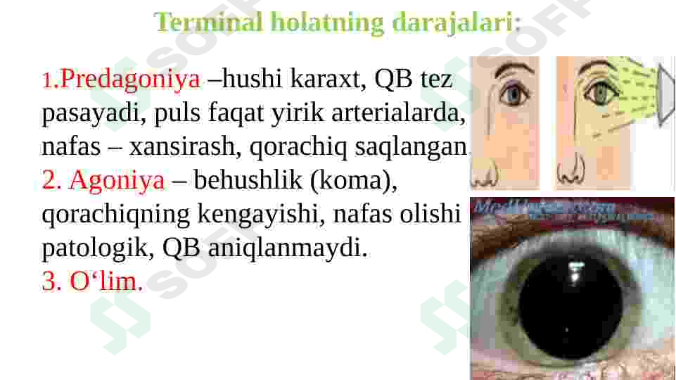Reanimatsiya asoslari 5