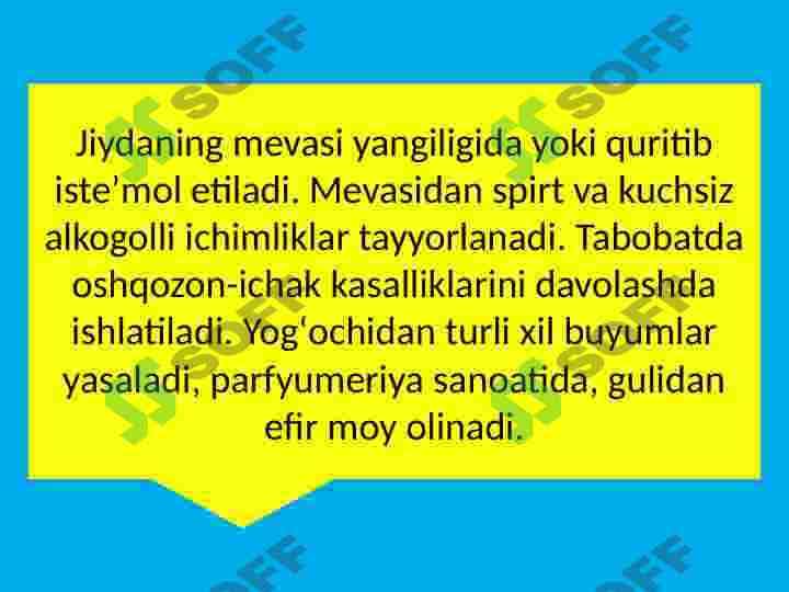 Jiydadoshlar oilasi va ularning dorivorlik xususiyatlari 5