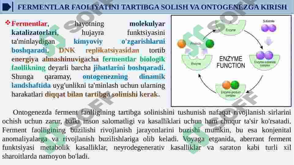 ONTOGENEZDA FERMENTLAR FAOLLIGINI BOSHQARILISHINING AHAMIYATI. NASLIY FERMENTOPATIYALAR 5