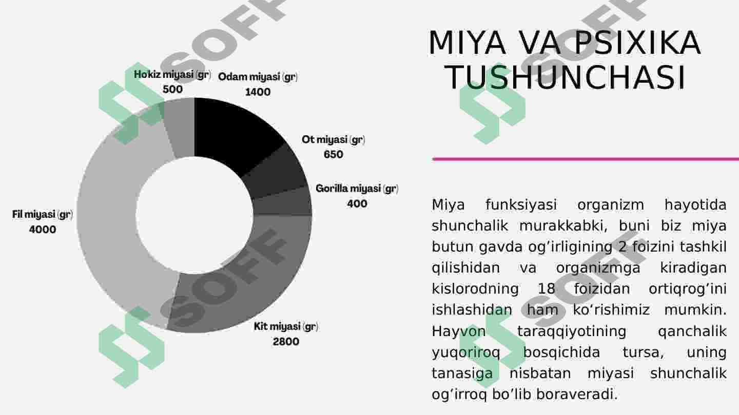 Miya va psixikaning o’zaro munosabat muammolari 5