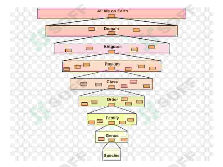 Biologiya fanining dolzarb muamolari 5
