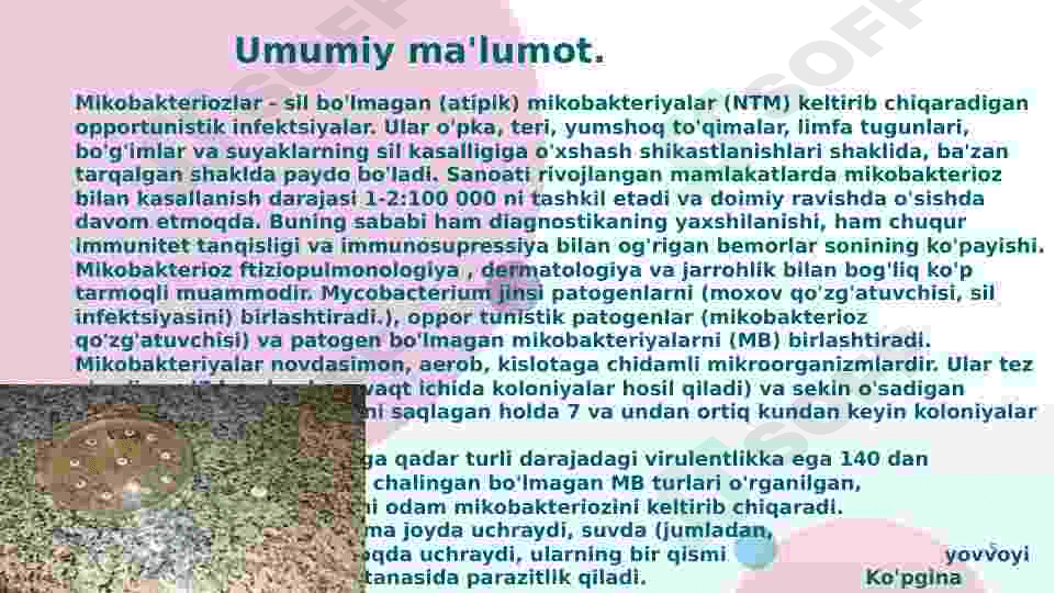 Atipik mikobkteriyalar va ularning ahamiyati. 5