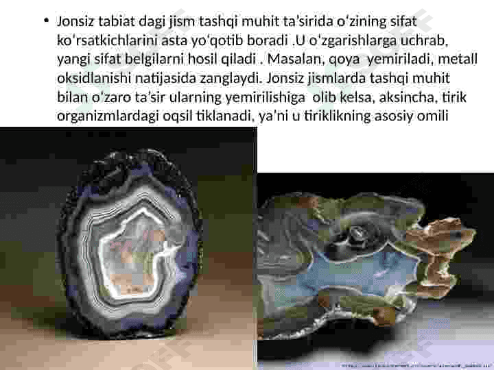 Tirik organizmlarning o‘ziga xos xususiyatlari 5