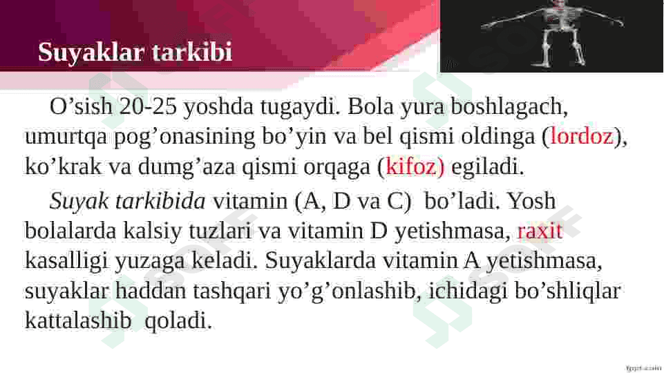 Tayanch va harakatlanish organlari. 5