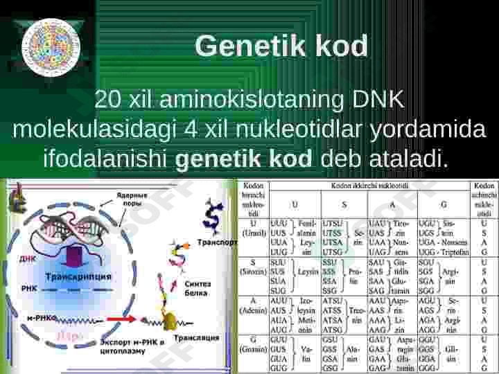Plastik almashinuv. Oqsillar biosintezi. Genetik kod. 5