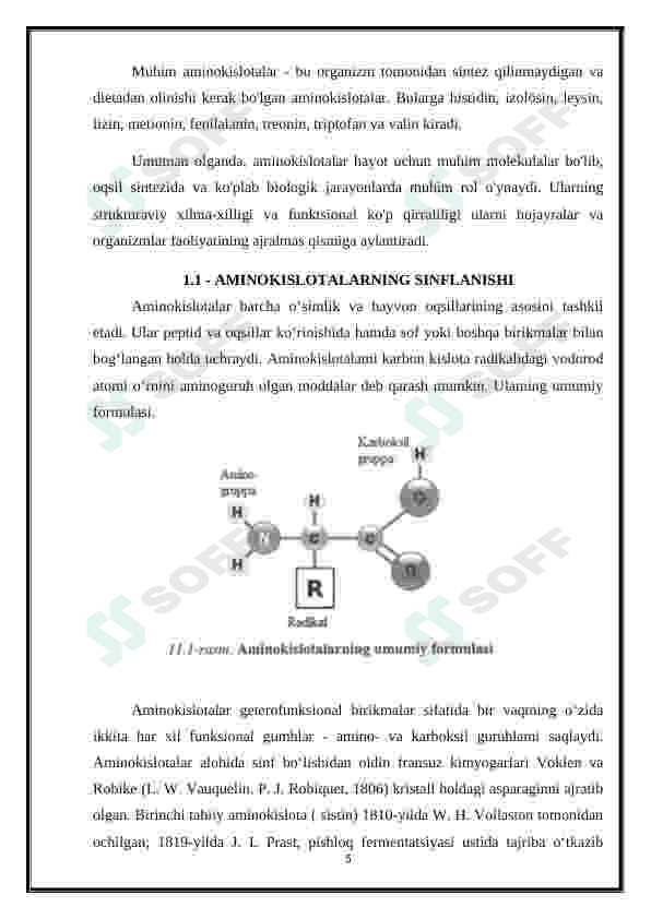 α - Aminokislotalar - kofermentlar, gormonlar va vitaminlarning tarkibiy qismi sifatida 5
