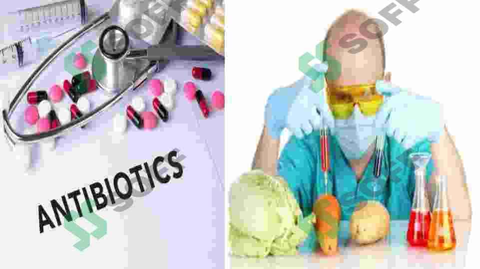 Oqsil va antibiotiklar ishlab chiqarish biotexnologiyasi 5