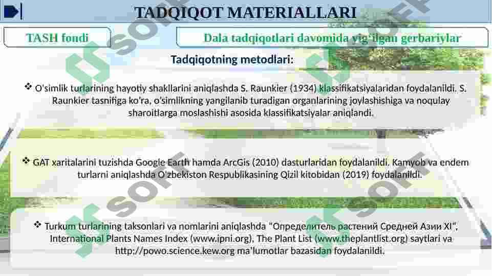 MADANIY O’SIMLIKLARNING KELIB CHIQISHI 5