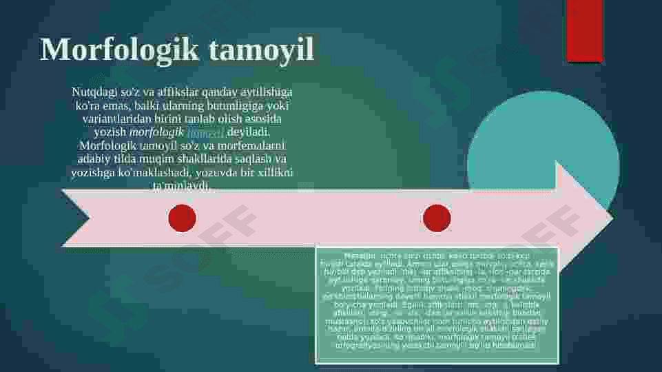 YOZMA NUTQ VA ORFOGRAFIYA TAMOYILLARI 5