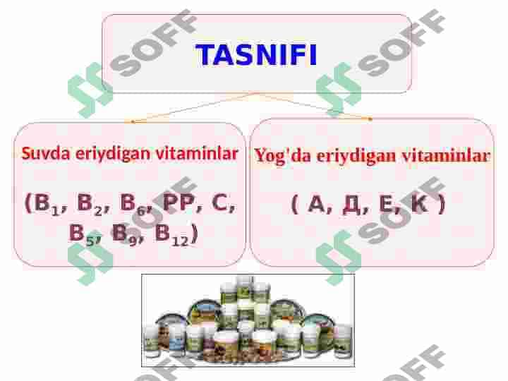 Vitaminlar 6