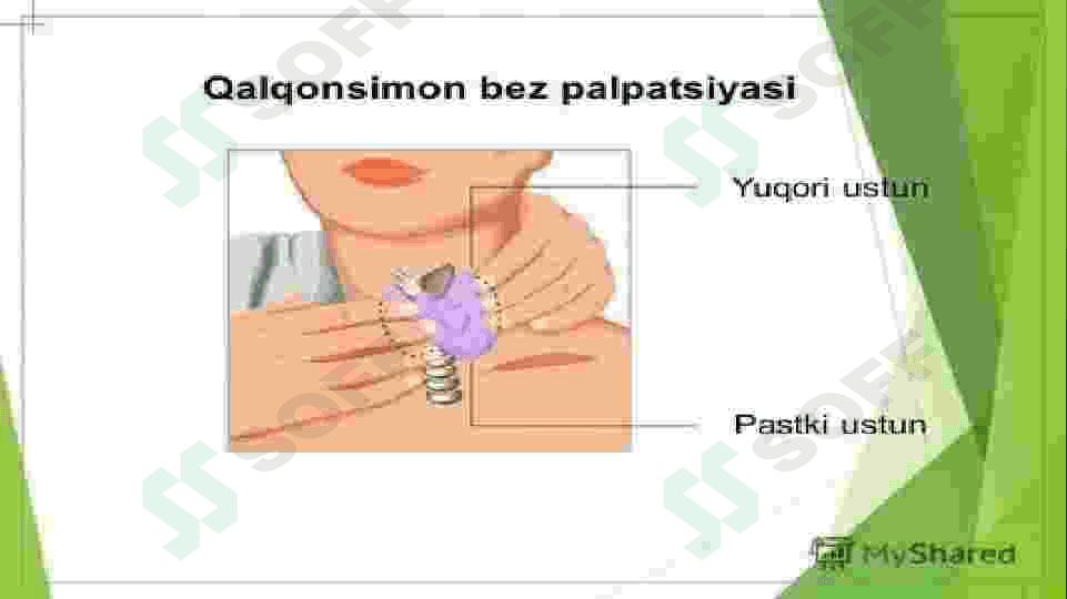 Endokrin fiziologiyasi 6