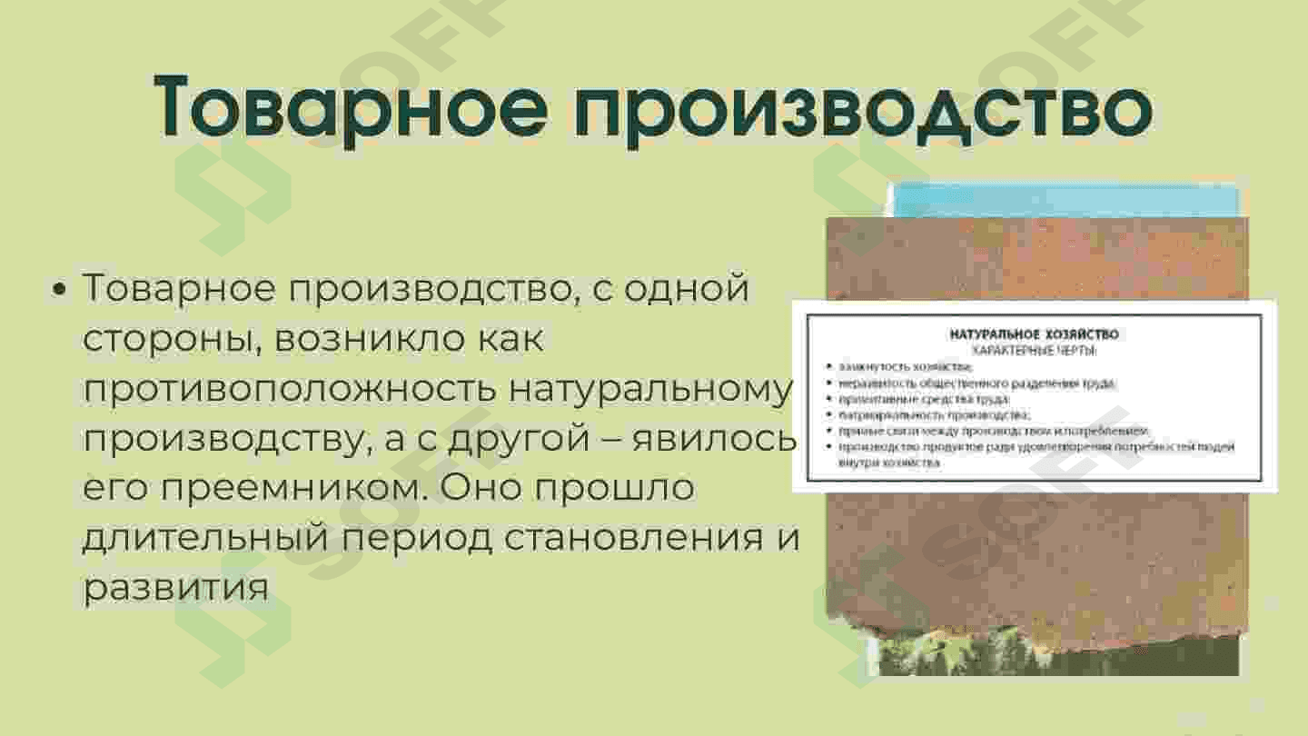 Натуральное Хозяйство 6