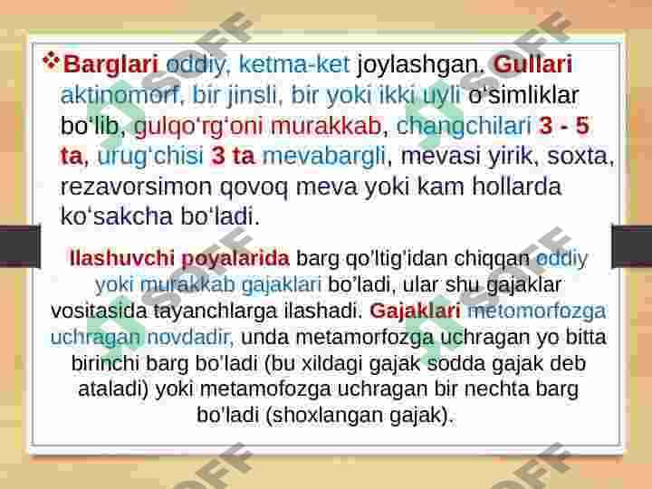 QOVOQDOSHLAR OILASI CUCURBITACEAE 6
