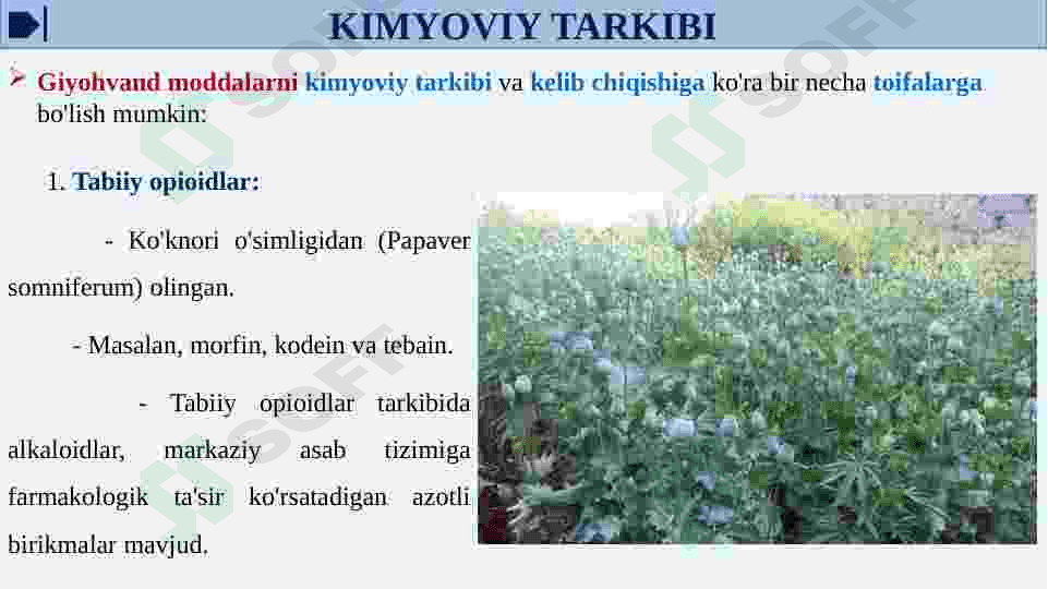 Tabiiy va sintetik narkotik vositalar.Foydasi va zarari 6