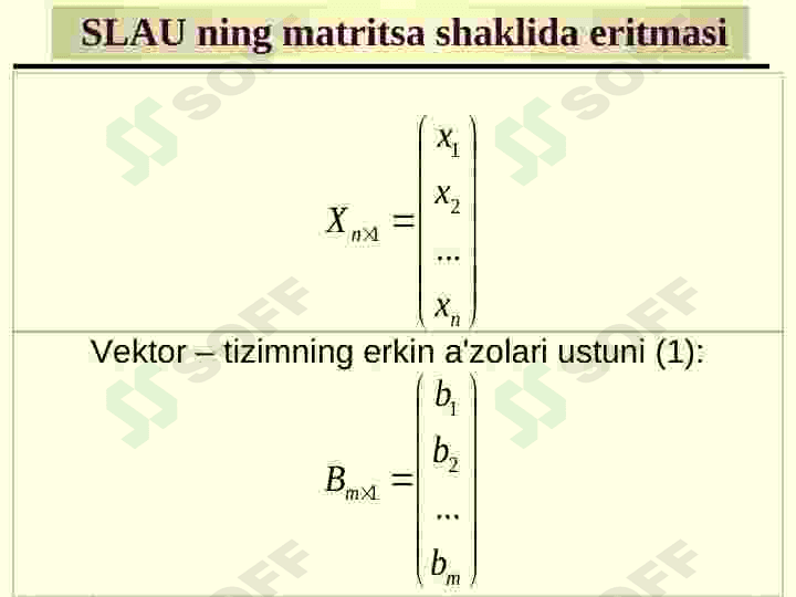Chiziqli algebraik tenglamalar sistemasi 6