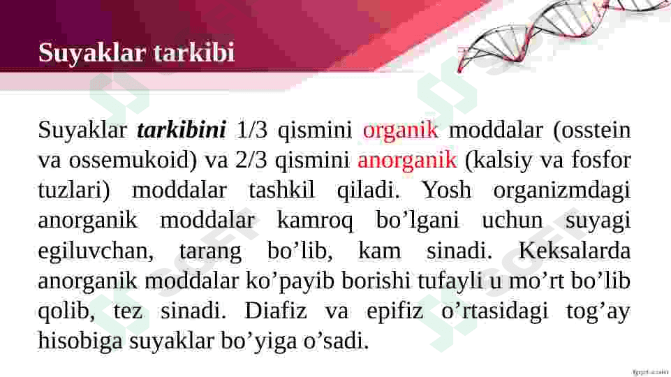 Tayanch va harakatlanish organlari. 6