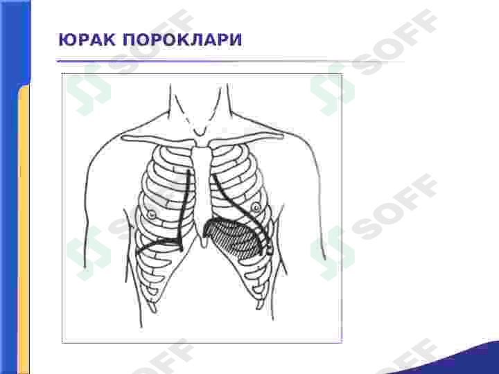 YURAK PAROKLARI.AORTA KLAPANINI YETISHMOVCHILIGI 6