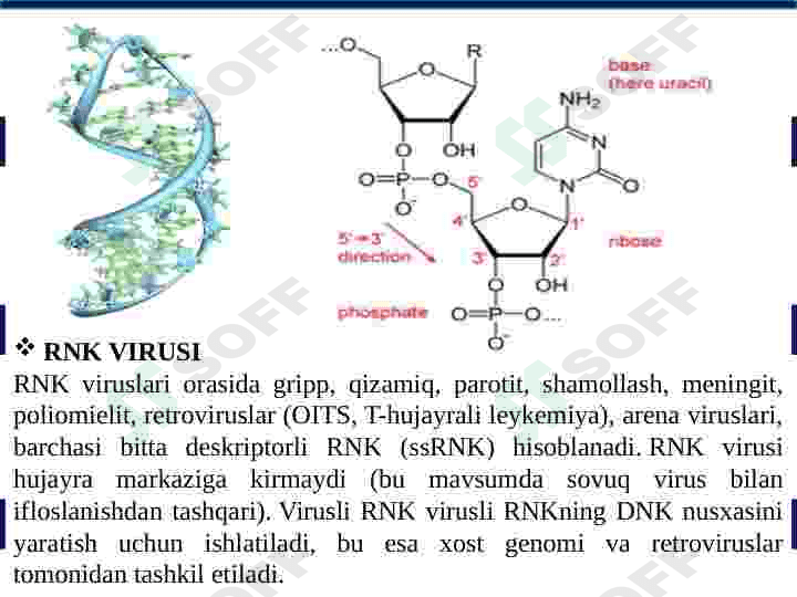 Viruslar va o'smalar ta'siriga qarshi dori vositalarining tashqi mexanizmi (DNK, RNK) 6
