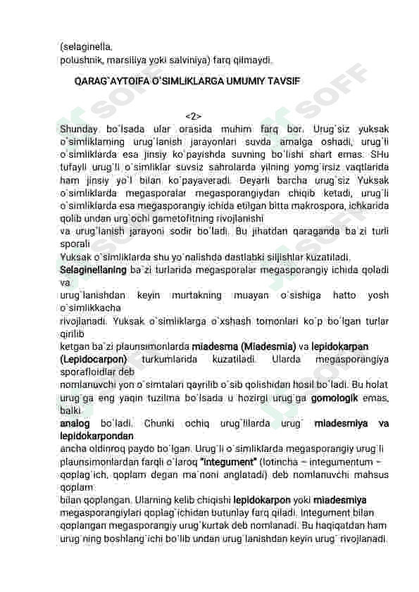 Qaragʻaytoifa oʻsimliklar 6