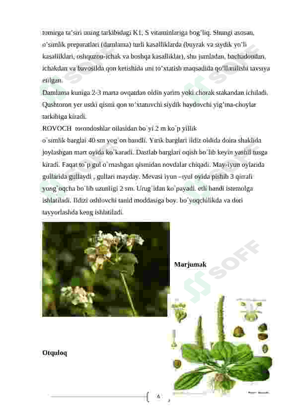 Torondoshlar oilasi 6