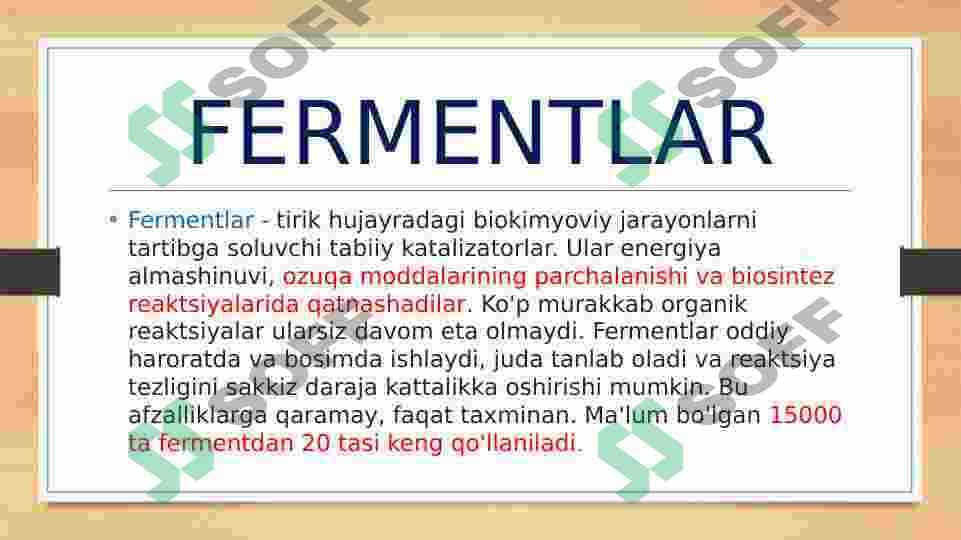 FERMENTATIV KATALIZ 6