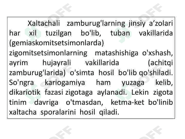 Askomisetsimonlar 6