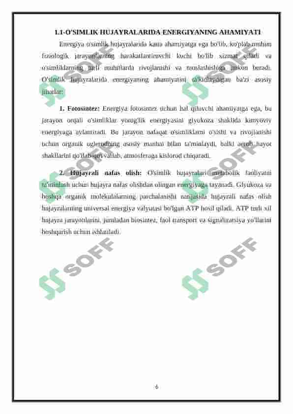 O’simlik hujayrasining energetikasi haqida 6