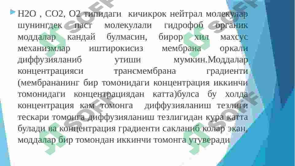 BIOLOGIK MEMBRANALARNI KIMYOVIY TARKIBI 7