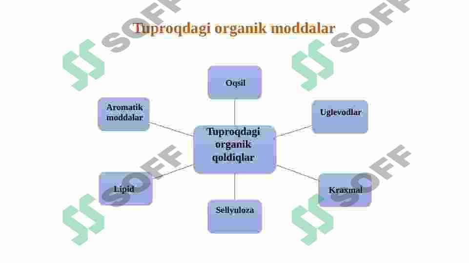 Tuproqdagi organik moddalar 7