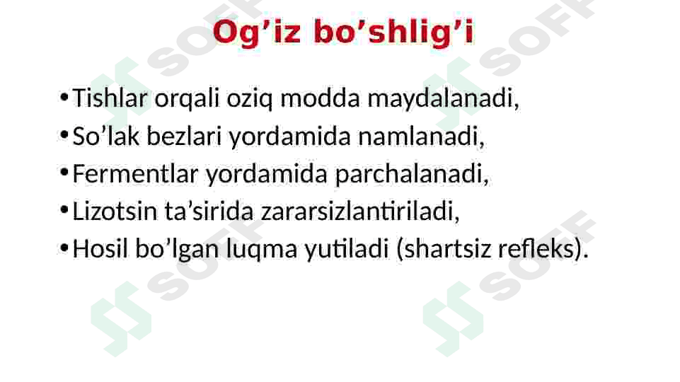 Ovqat hazm qilish organlari 7