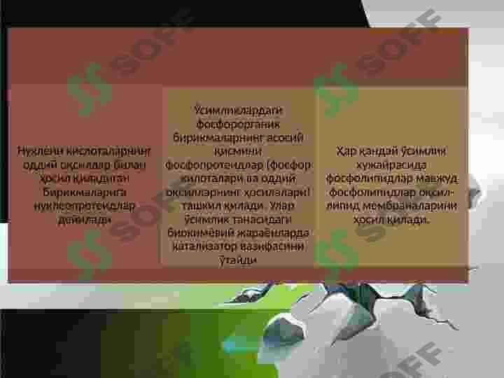Tuproqda fosfor birikmalari 7