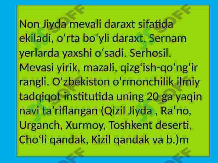 Jiydadoshlar oilasi va ularning dorivorlik xususiyatlari 7