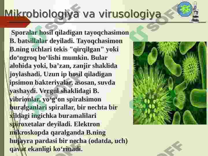 Bakteriyalarni ôstirishning asosiy prinsipi 7