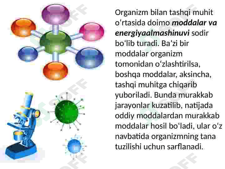 Tirik organizmlarning o‘ziga xos xususiyatlari 7