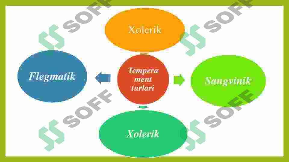 Temperament turlari va ularning psixologik turlari 7