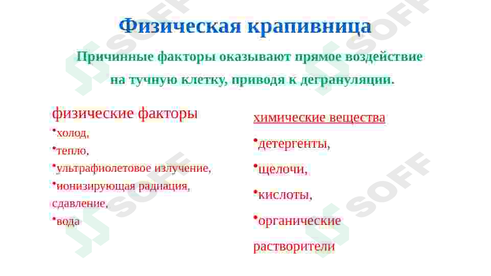 крапивница презентация 7