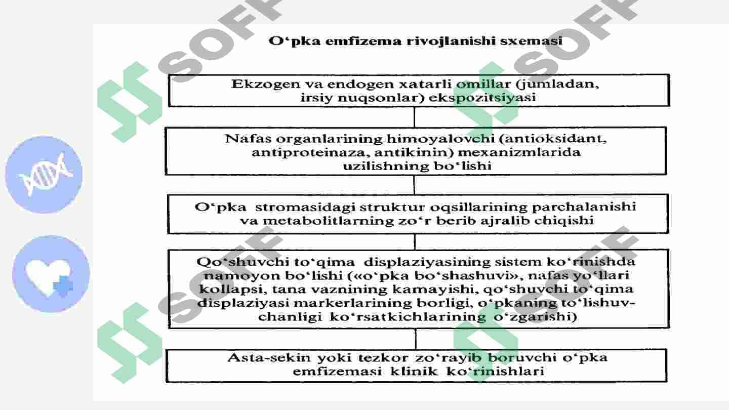 O'pka emfizemasi klinikasi 7