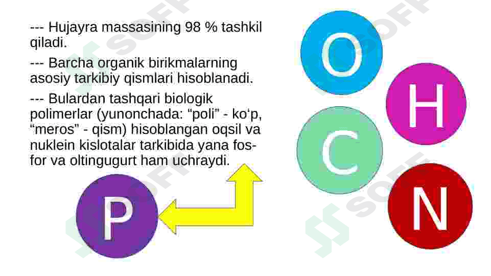 Hujayraning kimyoviy tarkibi 7