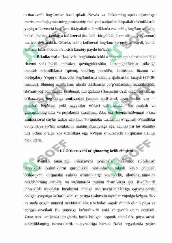 KSELIMA VA FLOEMA ELEMENTLARI VA ULARNING VEGETATIV ORGANLARDAGI AHAMIYATI 7