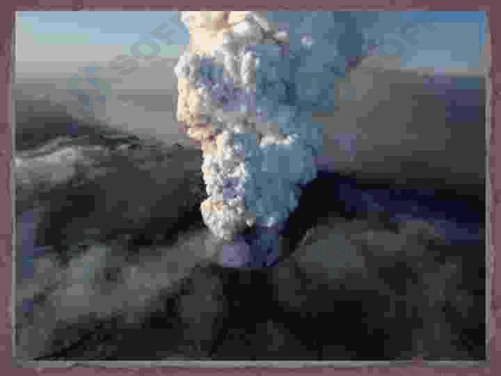EKOLOGIK MUOMMOLAR 7