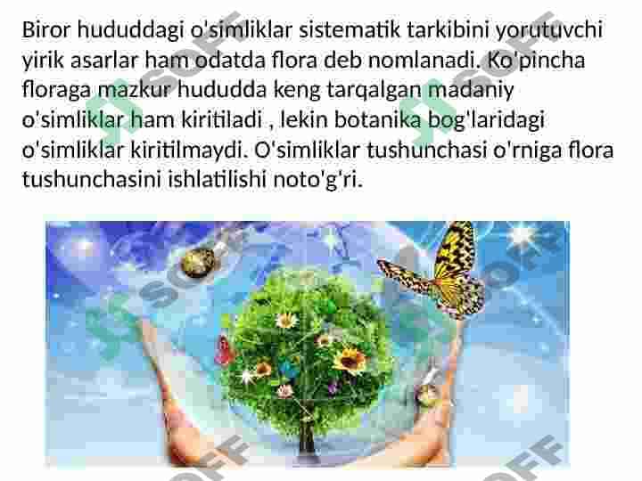 O'zbekiston va Qoraqalpog'iston florasini o'rganilish tarixi slayd 7